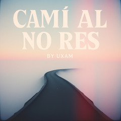 Camí al no res