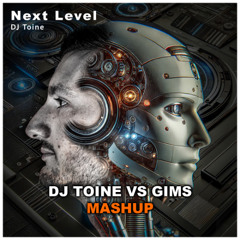 Next Level - DJ Toine VS Ohma Tokita - Gims (Extended Mix)