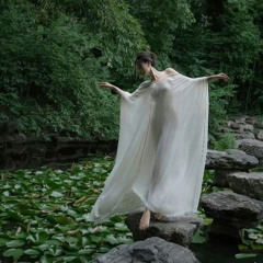 Kiếp Cầm Ca - Dj Chick - DoThanhDat