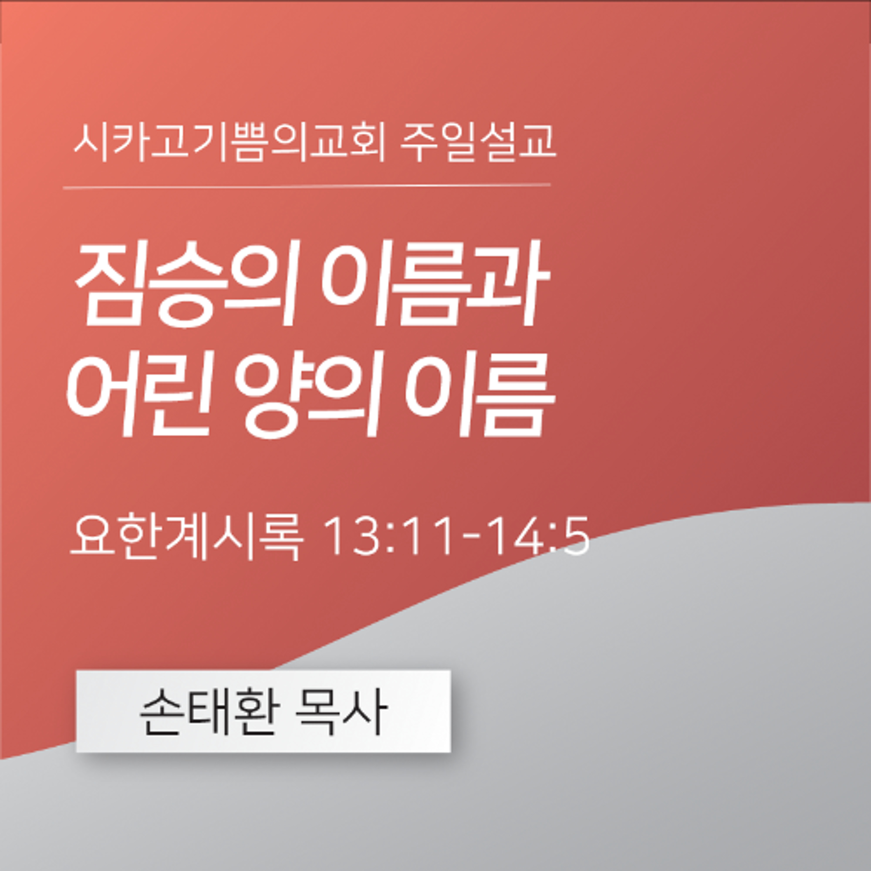 짐승의 이름과 어린 양의 이름 | 손태환 목사 | 시카고 기쁨의 교회 - 20250803 episode artwork