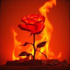 Harmless as a Rose, Sharp as a Sword