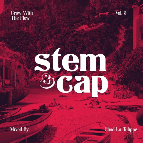 Stream Grow With The Flow Vol. 5 by Stem & Cap Listen online for free