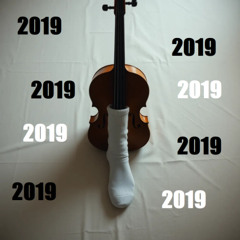 2019 right  sock