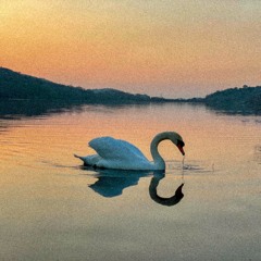 Ambient/Downtempo Mix