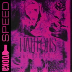Koorosh - Pas Man Chi Speed Up [Vodka Version]