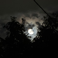 Untitled 10OCT25.wav