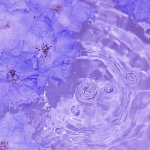 Leave Me x Rain (4rif)