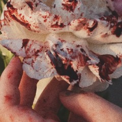 Sedang Kuusahakan - Mendkisblog (Jawaban atas Kita ini apa?)