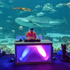 DJ R. Lane_Dragon Con Aquarium Night_Deep House_8-31-2024