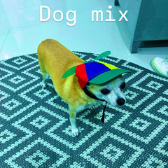 Dog Mix