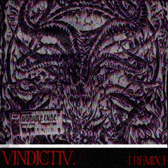 MARAUDA - avoidable cause [VINDICTIV REMIX]