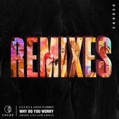 Why Do You Worry (Floyd Lavine Remix)