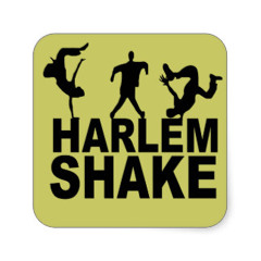 HARLEM SHAKE !