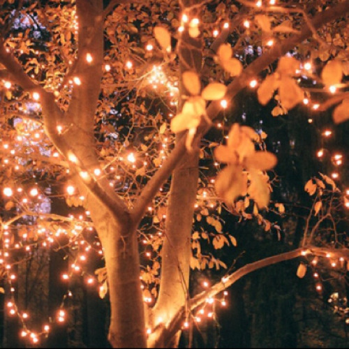 twilight