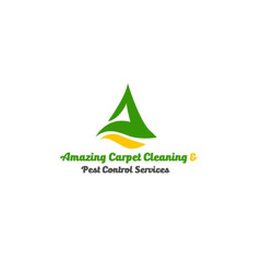 Expert Advice on Choosing the Best Carpet Cleaning in Ipswich