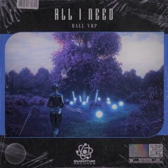 Ball VRP All I Need 2.0