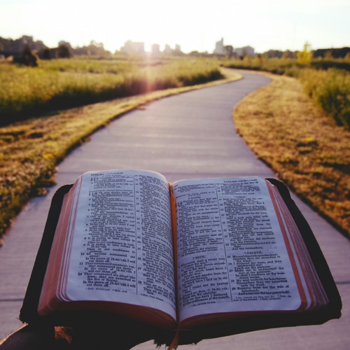 Scripture Above All