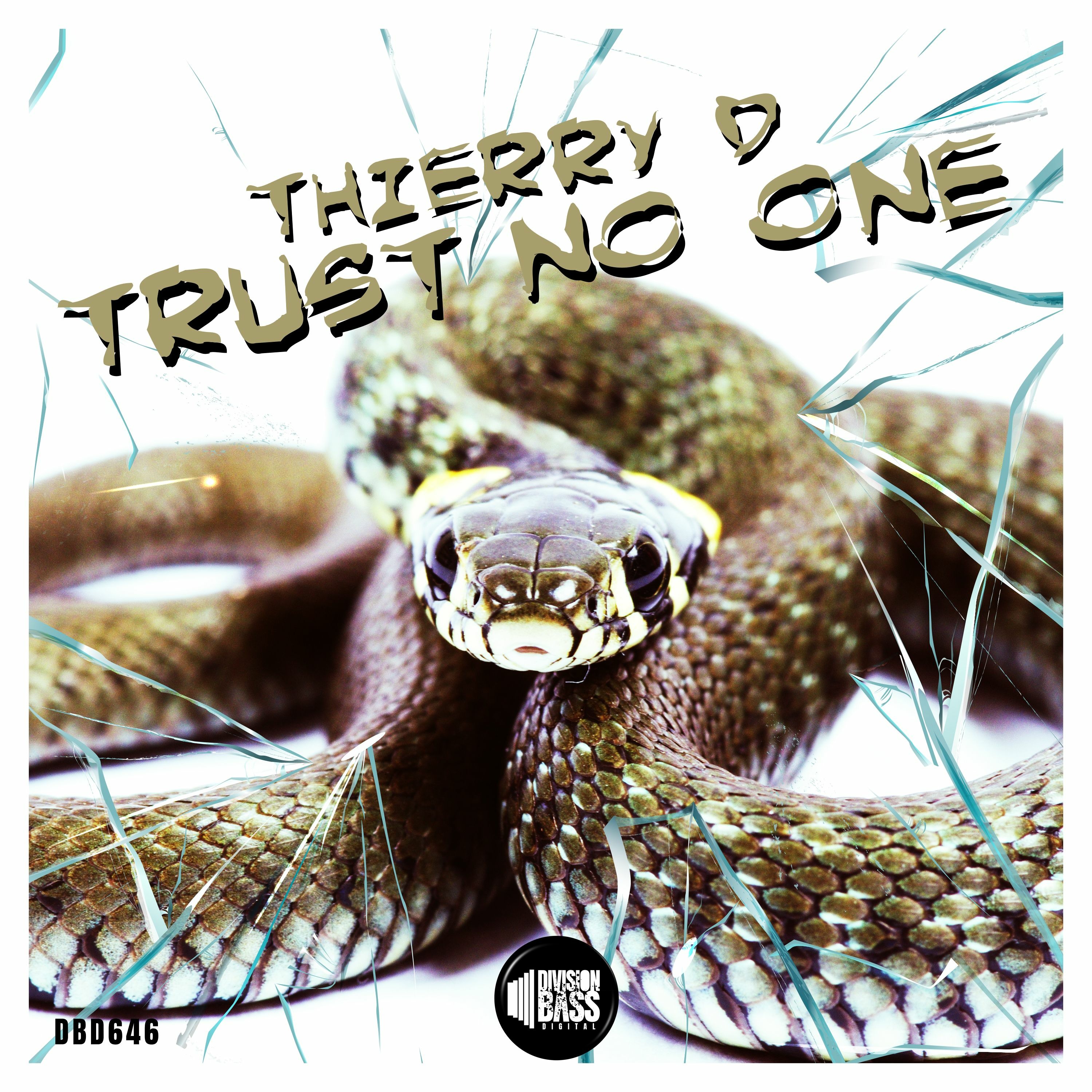 Trust No One (VIP MIX) By Thierry D episode artwork