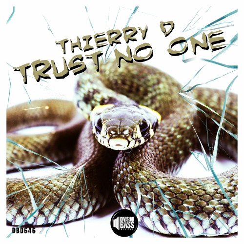 Trust No One (VIP MIX) By Thierry D