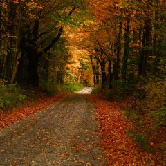 Sleep Token - Euclid (vocal cover)