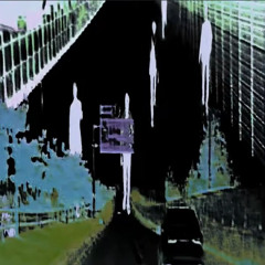 실