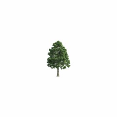 나무(Prod.ST4NDARD)
