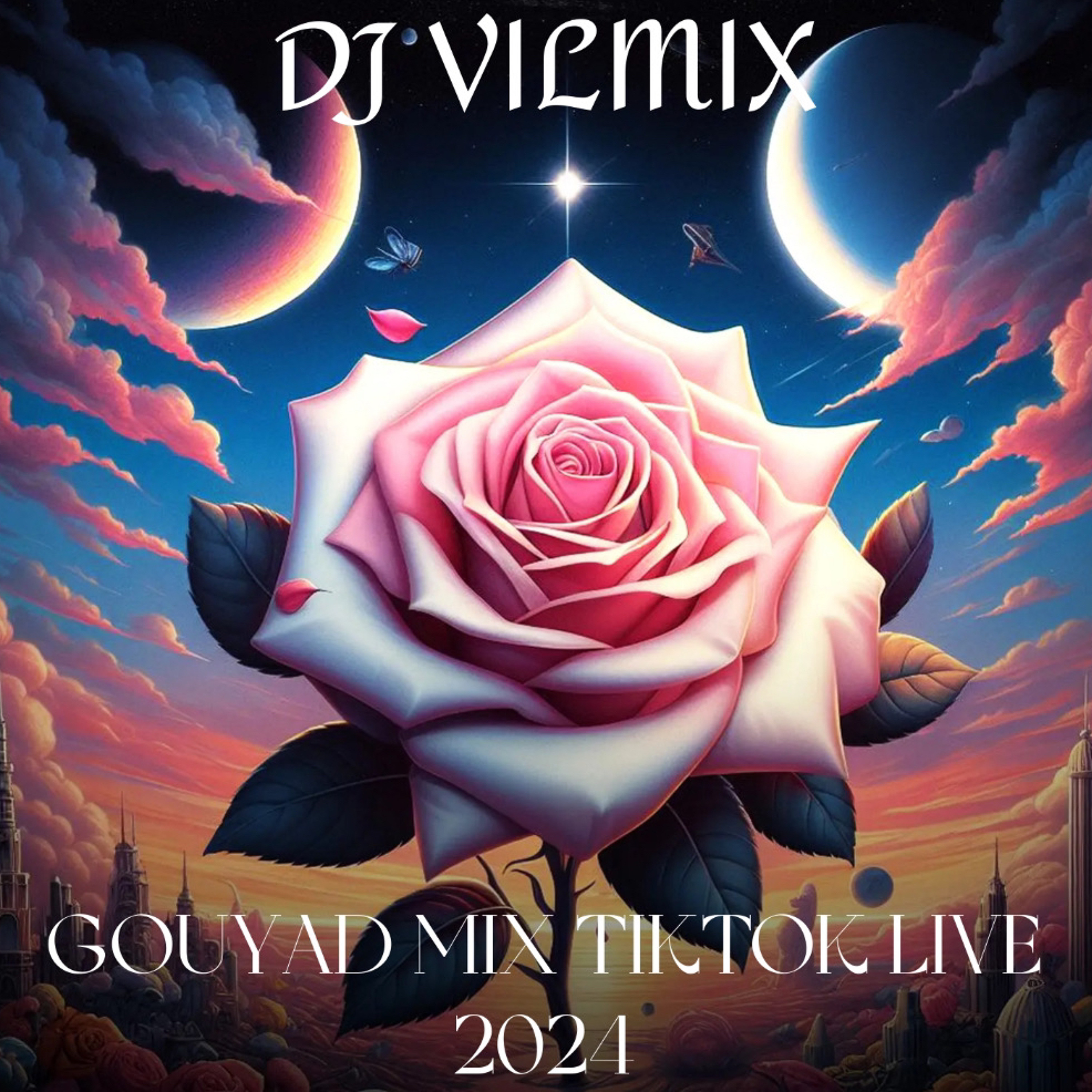 Dj VilMix