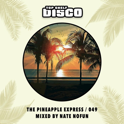 Top Shelf Disco Presents: The Pineapple Express 049 - Nate NoFun Guest Mix