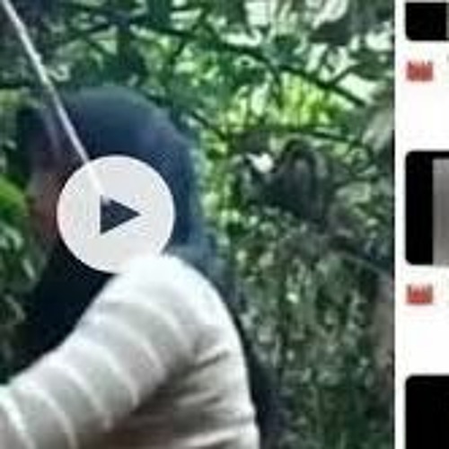 pacitan viral 35 detik link di alas