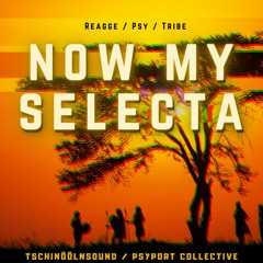 Now my Selecta - Tschinöölnsound