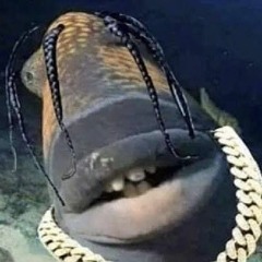 Bump Da Goose - Free Download