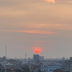 Kita Usahakan Rumah Itu - Sal Priadi (Cover)