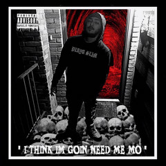 I THINK IM GOIN NEED ME MO
