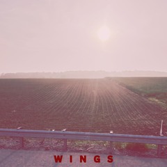 W I N G S