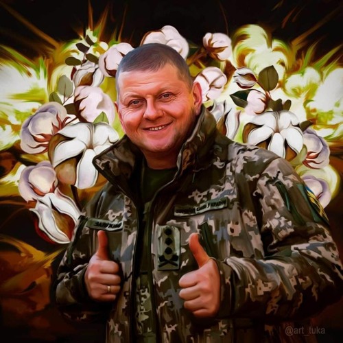 Буде тобі враже як Залужний скаже