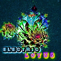 ELECTRIC LOTUS II
