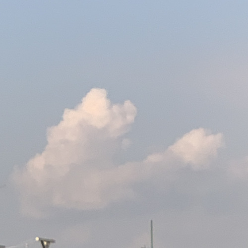 임영웅 다시 사랑한다면