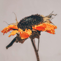 Life Is Rough (outro)