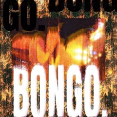 bongo (p. splurcetti)