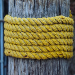 Anchor