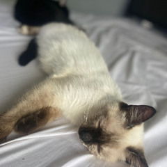 Money (unedited / unmastered)