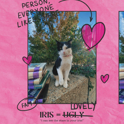 iris (siem spark)