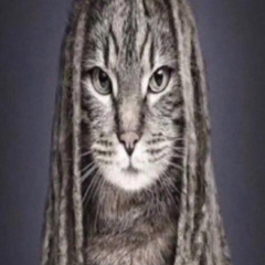 5up w anarchy (prod fuckboysex)