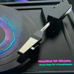 Knee High Of A Grasshopper