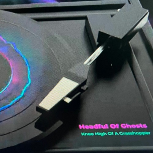 Knee High Of A Grasshopper