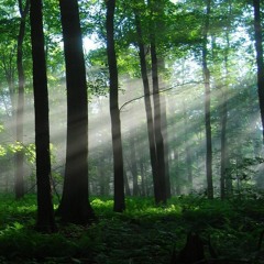 A Place I Know (by Mark Maxwell and Andy Hyam)