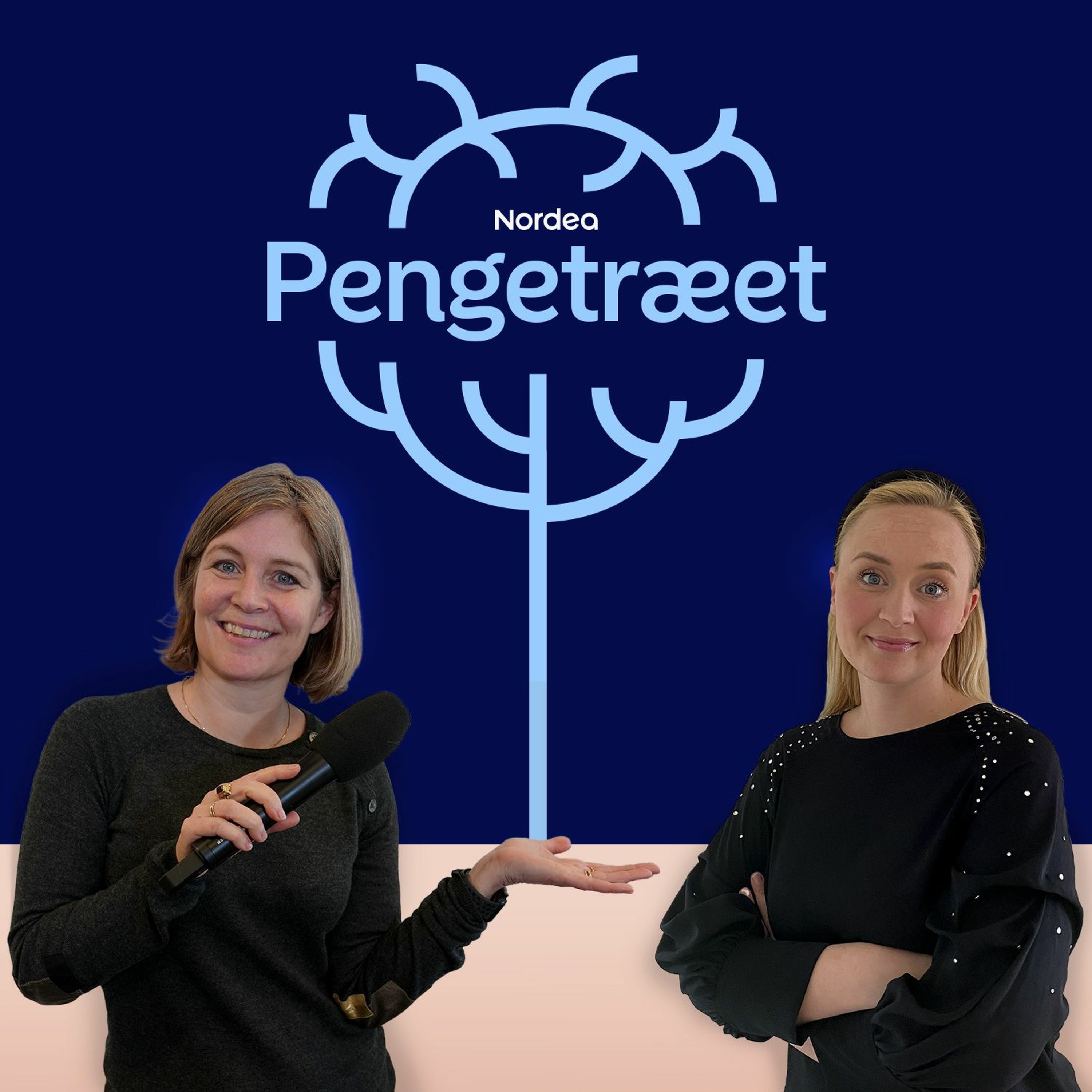 Når du investerer i en investeringsforening episode artwork