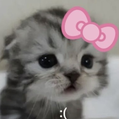 SpongeBob SquarePants - Undertow (Sped Up & Extended)