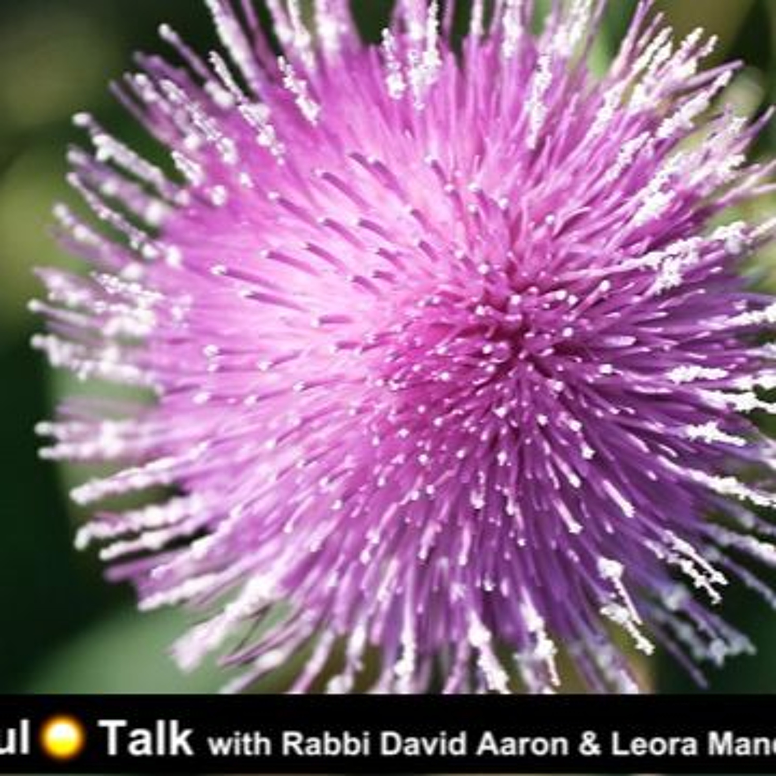 Living A Life That's Blessed - Soul Talk