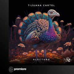 Premiere: Tijuana Cartel - Alectura - Beat & Path